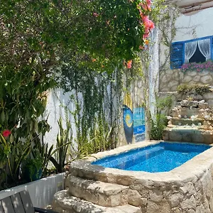 ** בית הארחה Caribo מקסיקו